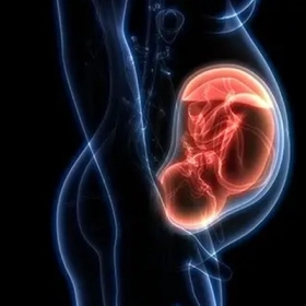 Đa Ối Khi Mang Thai Có Nguy Hiểm Không? Dấu Hiệu Và Cách Xử Trí An Toàn