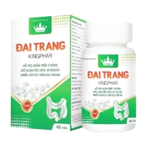 Đai Trang Kingphar 40 viên – Hỗ trợ giảm viêm đại tràng
