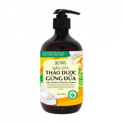 Dầu Gội Xả Thảo Dược Gừng Dừa Cocay Hoala 440g
