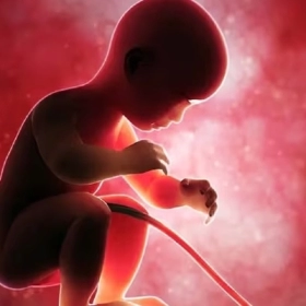 Dây Rốn Bám Màng Là Gì? Dấu Hiệu Nhận Biết Và Nguy Cơ Thai Kỳ