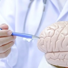 Dị dạng bán cầu não: Dấu hiệu, nguyên nhân và lộ trình điều trị