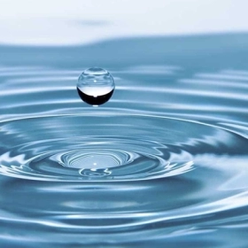 Dị Ứng Nước Là Gì? Nguyên Nhân, Dấu Hiệu Và Cách Điều Trị