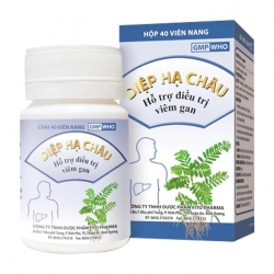 Diệp Hạ Châu Fito Pharma 40 viên Diệp Hạ Châu Fito Pharma 40 viên
