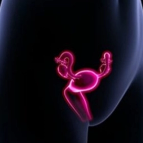 Dính Buồng Tử Cung Là Gì? Nguyên Nhân, Dấu Hiệu Và Cách Điều Trị