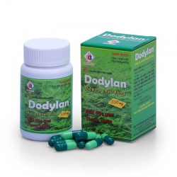 Diệp hạ châu Dodylan 550mg Domesco