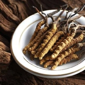 Đông Trùng Bổ Phổi Có Thật Sự Hiệu Quả? Xem Ngay Trước Khi Mua