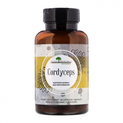 Đông Trùng Hạ Thảo Aloha Cordyceps