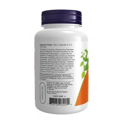 Viên uống Đông Trùng Hạ Thảo Now Cordyceps 750mg 90 viên