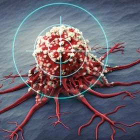 Erdafitinib Là Gì? Công Dụng, Chỉ Định Và Những Lưu Ý Quan Trọng Khi Sử Dụng