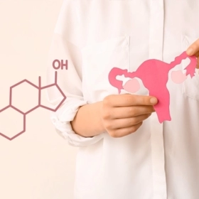 Estrogen Là Gì? Vai Trò, Tác Dụng Và Dấu Hiệu Mất Cân Bằng