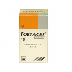 Thuốc bột pha tiêm Fortaacef 1g