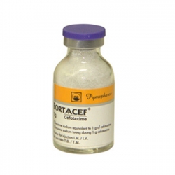 Thuốc bột pha tiêm Fortaacef 1g