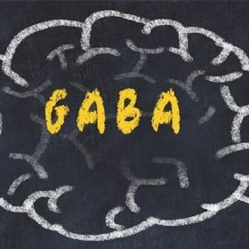 GABA là gì? Vai trò trong hệ thần kinh và cách cải thiện giấc ngủ tự nhiên