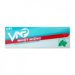 Gel VNP Nhiệt miệng tuýp 10g