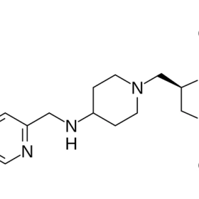 Gepotidacin Là Gì? Thuốc Kháng Sinh Mới Được FDA Phê Duyệt Năm 2025