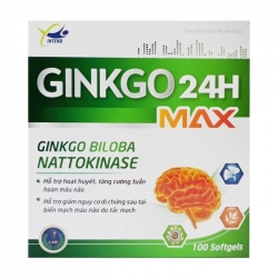 Ginkgo 24H Max Intend 10 vỉ x 10 viên Ginkgo 24H Max Intend 10 vỉ x 10 viên