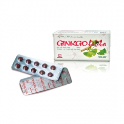 Ginkgo Biloba 40mg Nadyphar, Hộp 100 viên