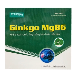 Ginkgo MgB6 BV Pharma 10 vỉ x 10 viên - Hỗ trợ tuần hoàn máu não