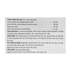 Ginkgo MgB6 BV Pharma 10 vỉ x 10 viên - Hỗ trợ tuần hoàn máu não