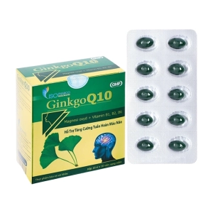 Ginkgo Q10 Isopharco 10 vỉ x 10 viên - Hỗ trợ tuần hoàn máu não
