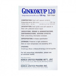 Ginkokup 120mg Korea United 6 vỉ x 10 viên - Tuần hoàn máu não, cải thiện trí nhớ Ginkokup 120mg Korea United 6 vỉ x 10 viên - Tuần hoàn máu não, cải thiện trí nhớ