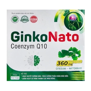GinkoNato Coenzym Q10 Anphar 10 vỉ x 10 viên - Hỗ trợ tuần hoàn máu não