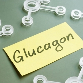 Glucagon Là Gì? Vai Trò Quan Trọng Trong Điều Hòa Đường Huyết