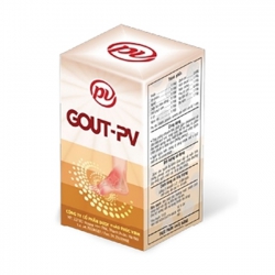 Gout PV giải pháp cho bệnh Gout | Dược phúc vinh | Hộp 60 viên