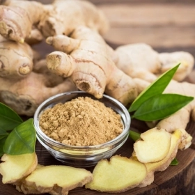 Gừng – Vị Thuốc Quen Thuộc Nhưng Công Dụng Không Hề Nhỏ