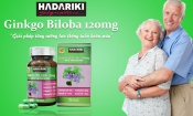 Hadariki Ginkgo Biloba sự lựa chọn hoàn hảo cho não bộ