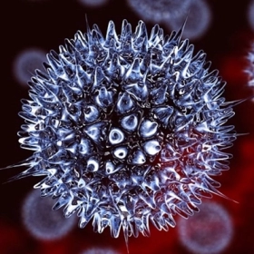 Herpes Sinh Dục Là Gì? Nguyên Nhân, Triệu Chứng Và Cách Điều Trị