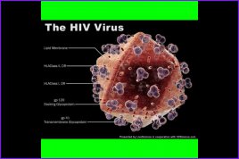 HIV: Nguyên nhân, triệu chứng, chẩn đoán và điều trị