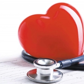 Hở Van Hai Lá Là Gì? Nguyên Nhân, Dấu Hiệu Và Cách Điều Trị Hiệu Quả