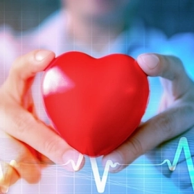 Hở Van Tim 3 Lá Là Gì? Nguyên Nhân, Triệu Chứng Và Cách Điều Trị Hiệu Quả