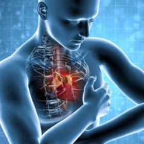 Hở Van Tim Là Gì? Nguyên Nhân, Triệu Chứng Và Cách Điều Trị Hiệu Quả