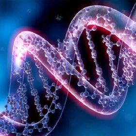 Hội Chứng Liddle Là Gì? Nguyên Nhân, Triệu Chứng Và Cách Điều Trị