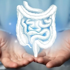 Hội Chứng Ogilvie: Nguyên Nhân, Triệu Chứng, Chẩn Đoán Và Điều Trị