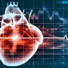 Hội Chứng QT Kéo Dài: Nguyên Nhân, Triệu Chứng Và Cách Điều Trị