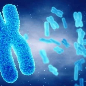 Hội Chứng Turner Là Gì? Nguyên Nhân, Triệu Chứng Và Cách Điều Trị