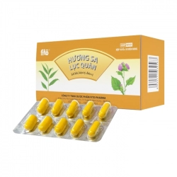 Hương Sa Lục Quân Fito Pharma 10 vỉ x 10 viên Hương Sa Lục Quân Fito Pharma 10 vỉ x 10 viên