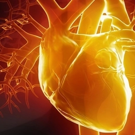 Huyết Áp Tâm Trương Là Gì? Chỉ Số Bao Nhiêu Là Bình Thường?