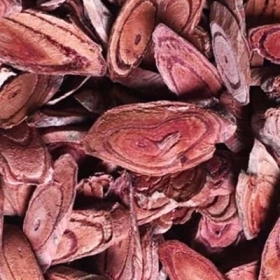 Kê huyết đằng là gì? Công dụng, cách dùng và lưu ý khi sử dụng