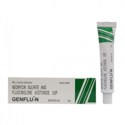 Kem bôi ngoài da GENFLU-N 10g
