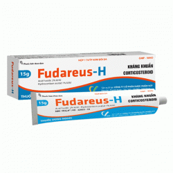 Kem trị viêm da dị ứng Fudareus-H VCP tuýp 15g