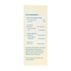 Kids Liquid Iron Plus Henry Blooms 100ml Kids Liquid Iron Plus Henry Blooms 100ml