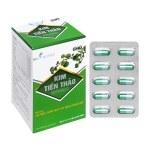 Kim Tiền Thảo Isopharco 6 vỉ x 10 viên - Hỗ trợ đường tiết niệu