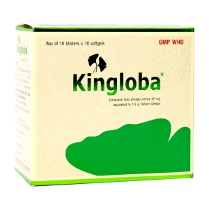 Kingloba 40mg Bidiphar 10 vỉ x 10 viên (Ginkgo biloba)