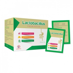 Lactobacillus bổ sung lợi khuẩn giảm rối loạn tiêu hóa Lactobacillus bổ sung lợi khuẩn giảm rối loạn tiêu hóa