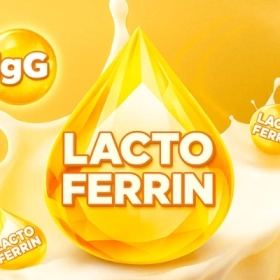 Lactoferrin Là Gì? Công Dụng Và Vai Trò Đối Với Sức Khỏe