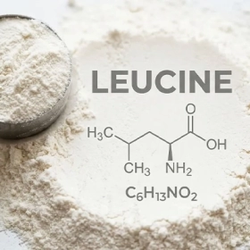 Leucine Là Gì? Công Dụng Và Vai Trò Đối Với Cơ Thể